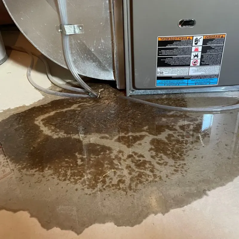 Pipe Burst and Leak Restoration in Nellis Air Force Base, NV