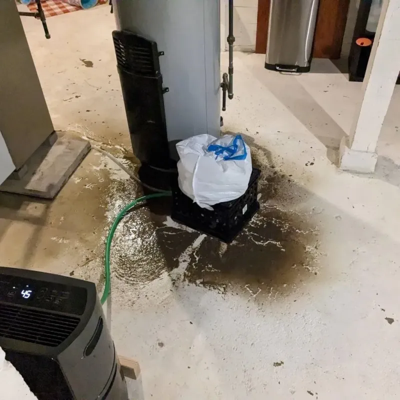 Sewage Backup Cleanup Service in Nellis Air Force Base, NV